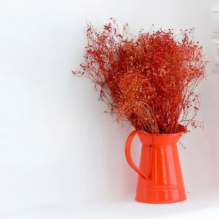 Spanelis Mykonos Town