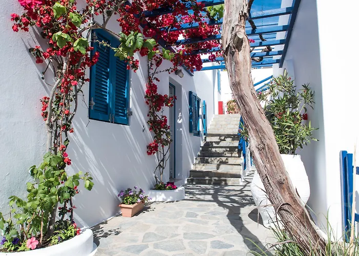 斯潘纳里斯酒店 2* Mykonos Town